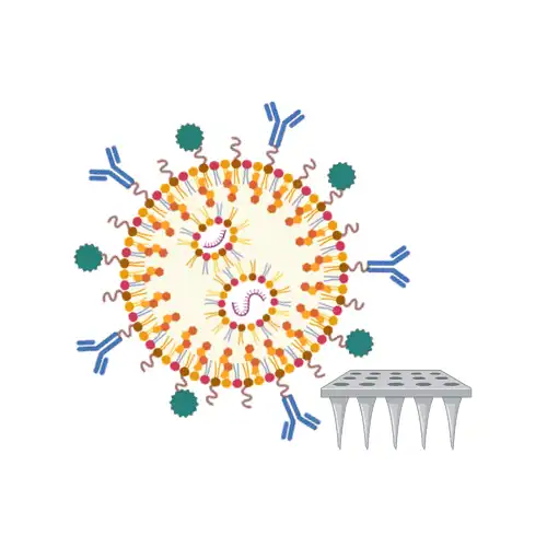 Formulation and delivery systems illustration